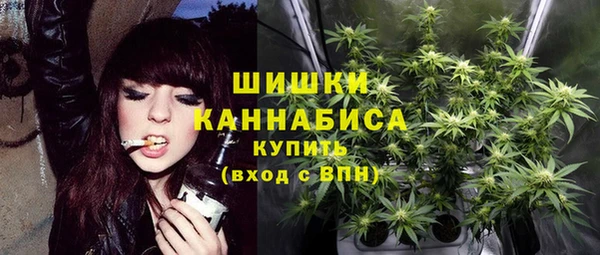 стаф Волосово