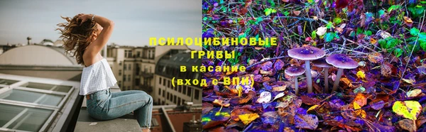 дживик Волоколамск