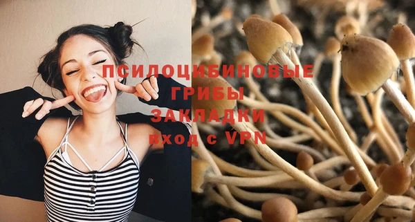 стаф Волосово