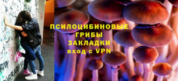 дживик Волоколамск