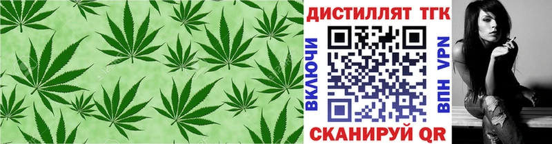 Купить  Отрадное  ТГК концентрат 