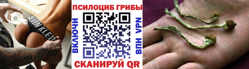 Галлюциногенные грибы Psilocybine cubensis  Купить закладки  Отрадное 